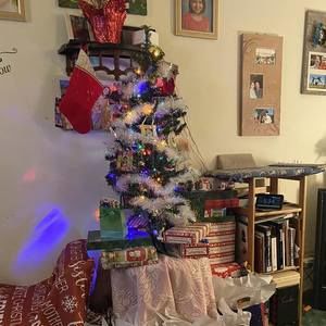 Meet your Posher, Sheila